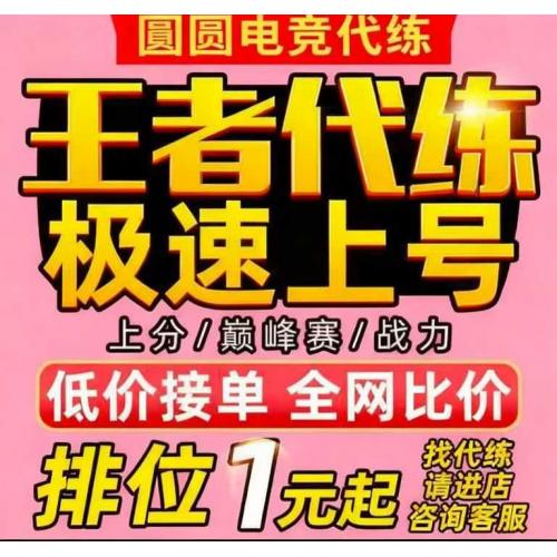 【托管】极速代打排位巅峰战力 咨询秒回